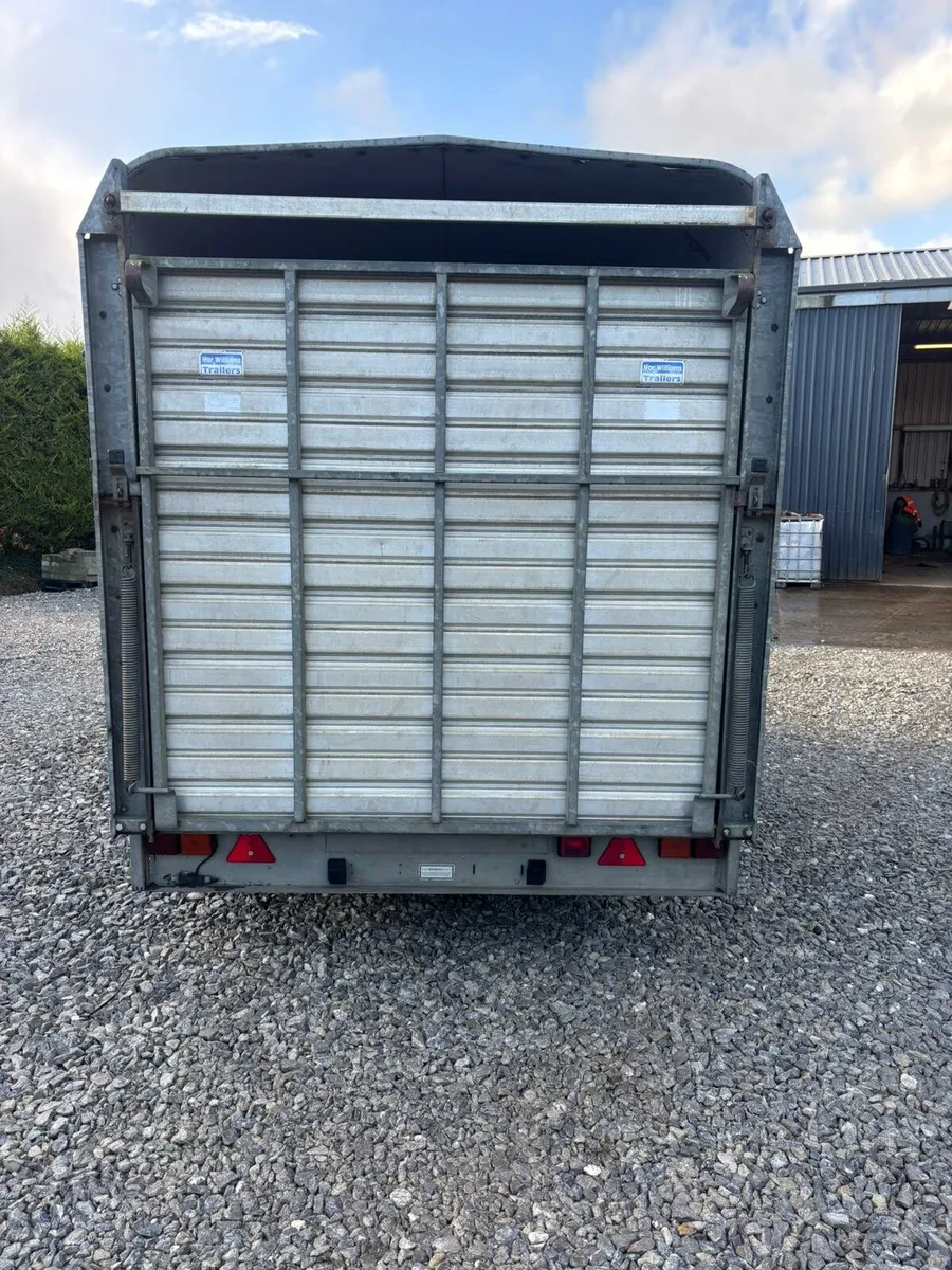 Ifor Williams Cattle Trailer - Image 2