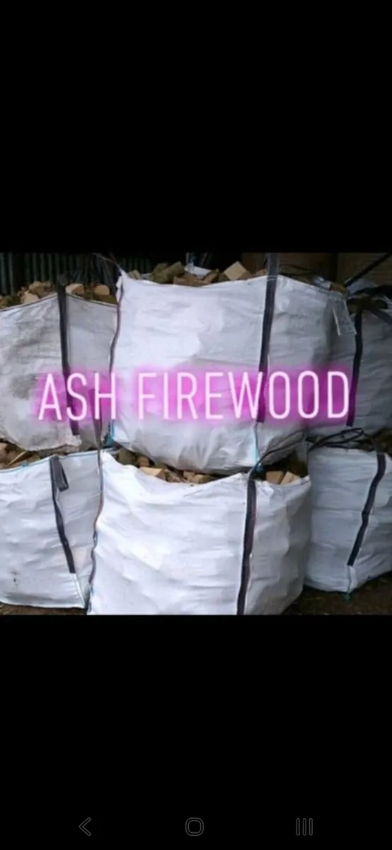 Firewood - Image 1