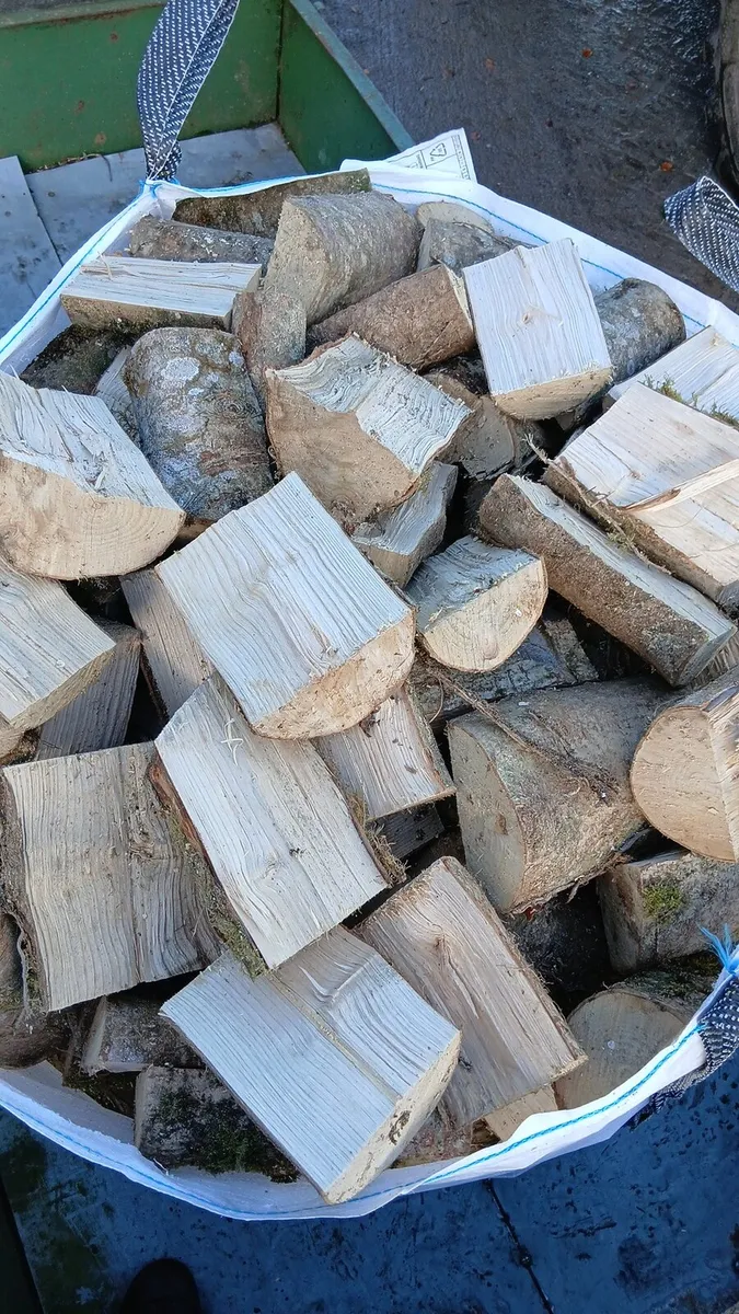 Firewood - Image 2