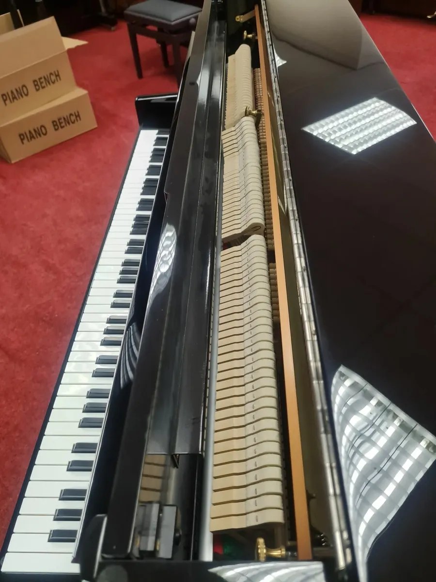 BLACK FRIDAY SPECIAL - Image 2