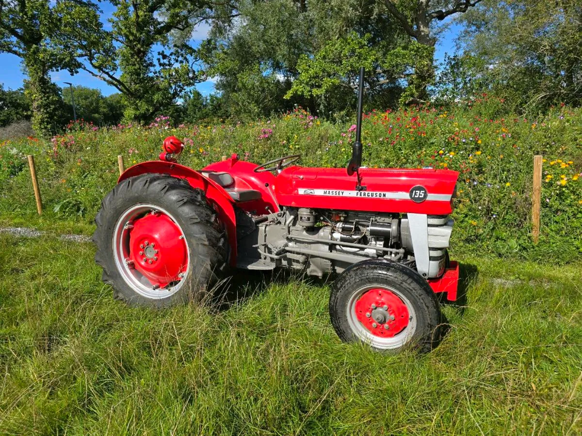 1965 massey ferguson 135 vintage tractor - Image 1
