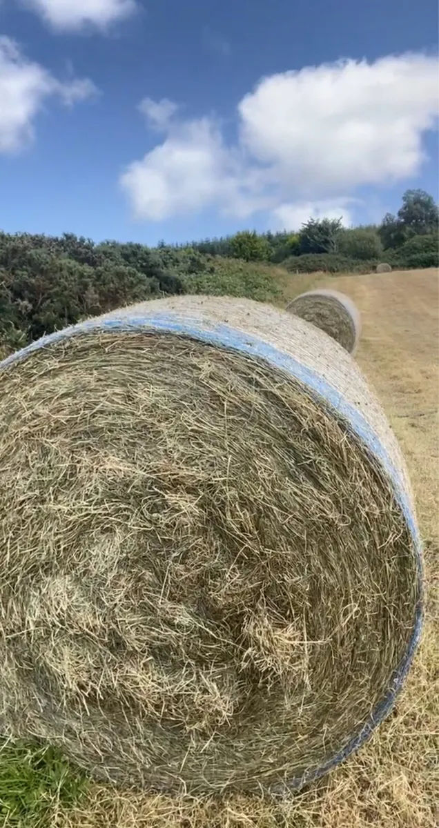 Quality Haylage - Image 2