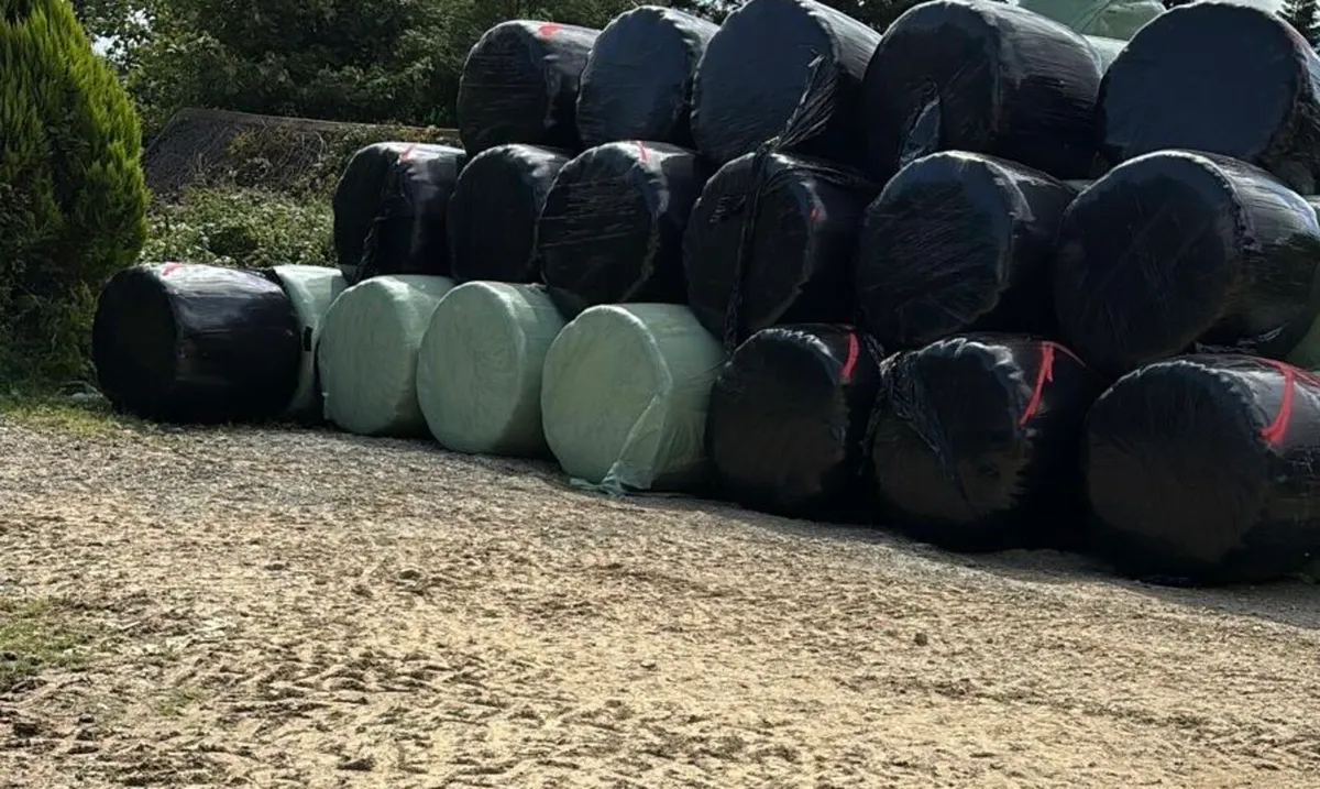 Quality Haylage - Image 1