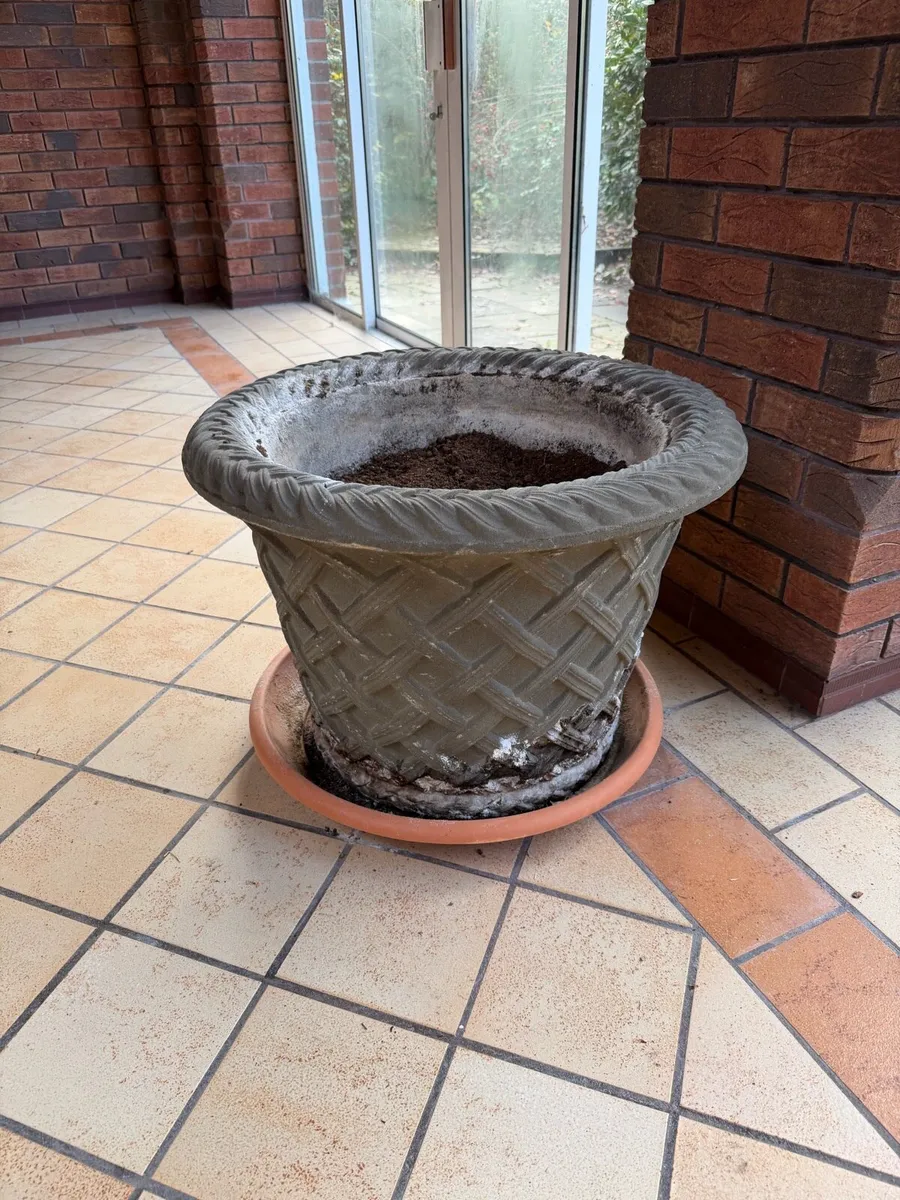 Concrete planters