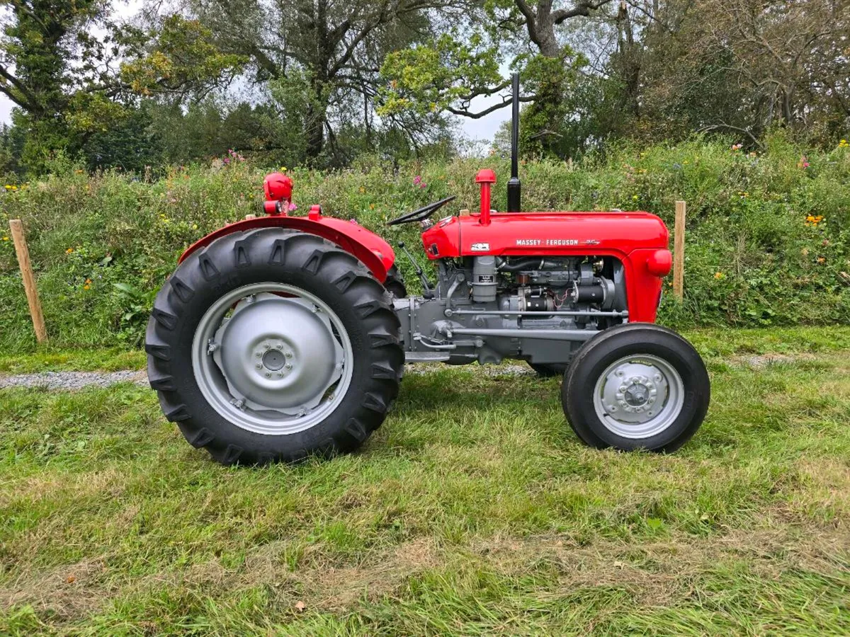 1962 massey ferguson 35 with diff lock rare - Image 1