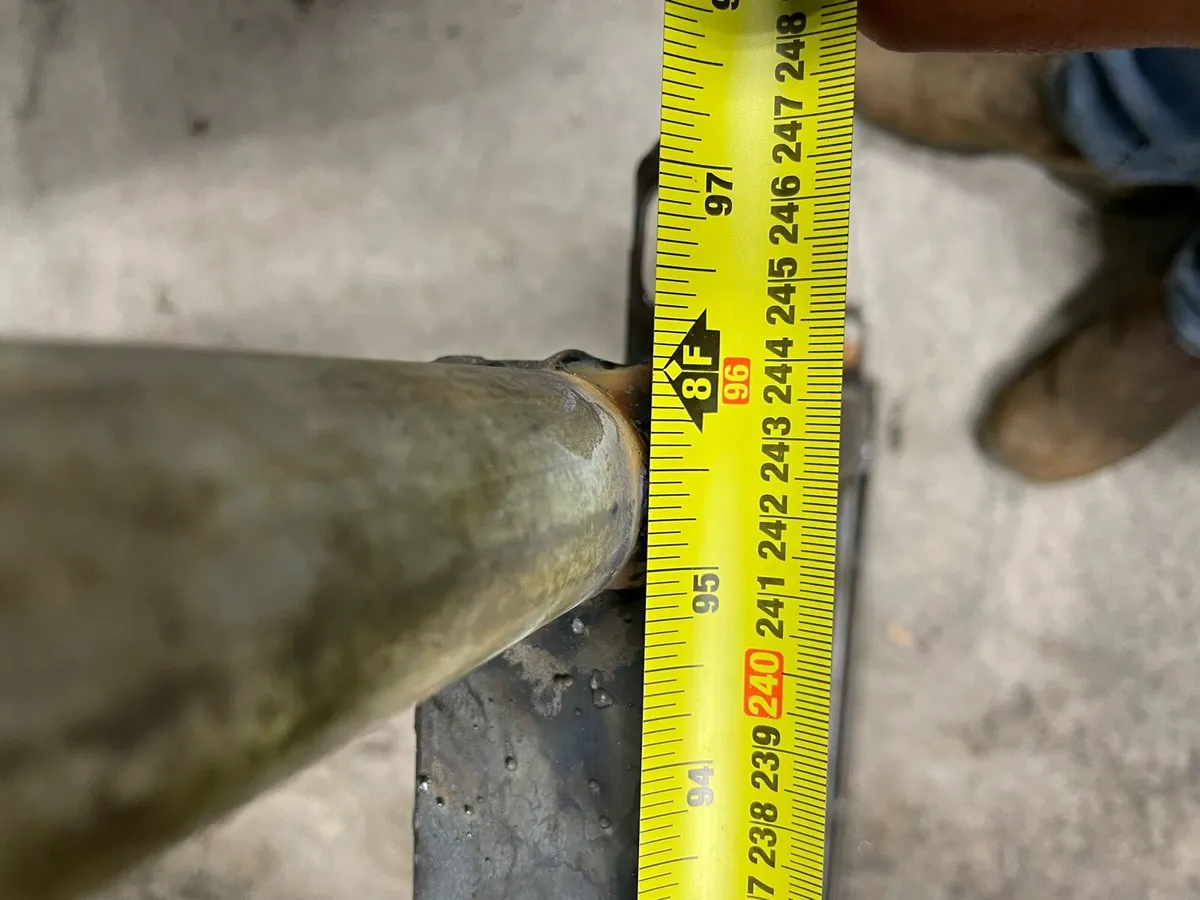 Sheep feeding barriers - Image 2