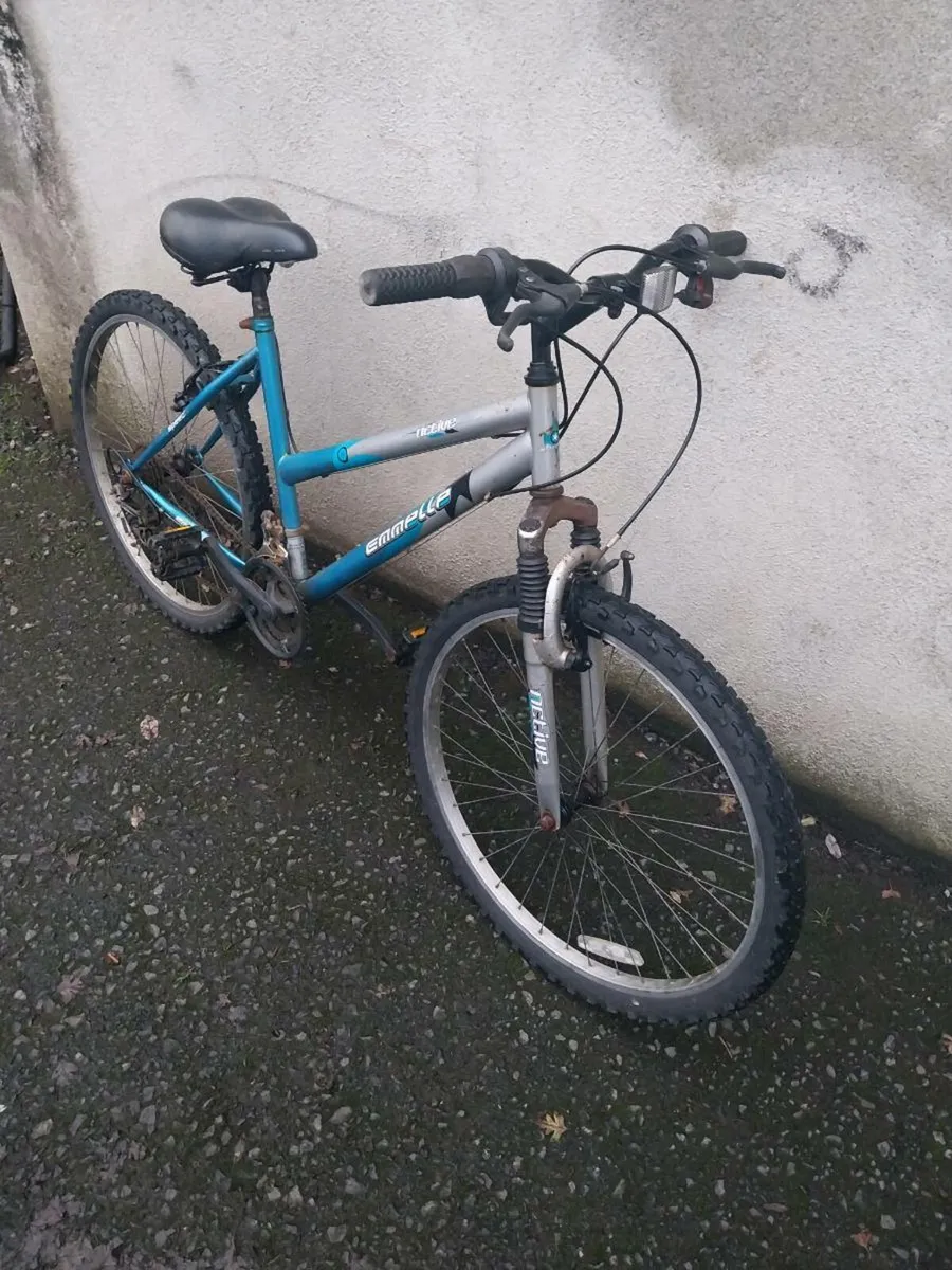 Women's mountain bike - Image 2