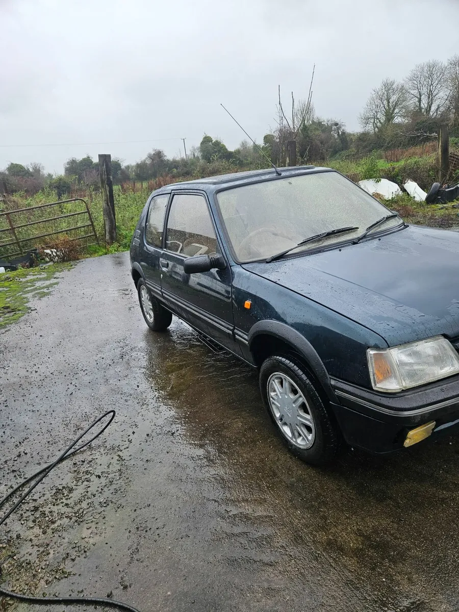 Peugeot  205 turbo  diesel  stdt and gti 1.9 - Image 2