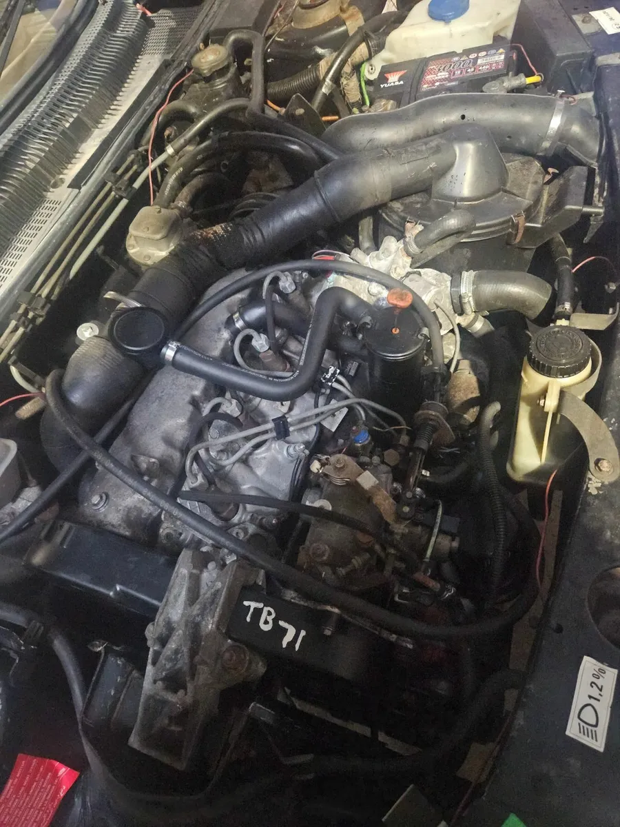 Peugeot  205 turbo  diesel  stdt and gti 1.9 - Image 3