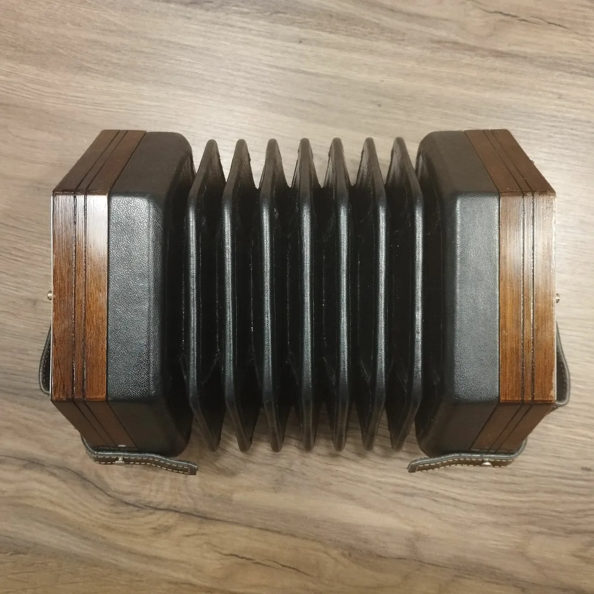 Marcus Concertina - Image 2