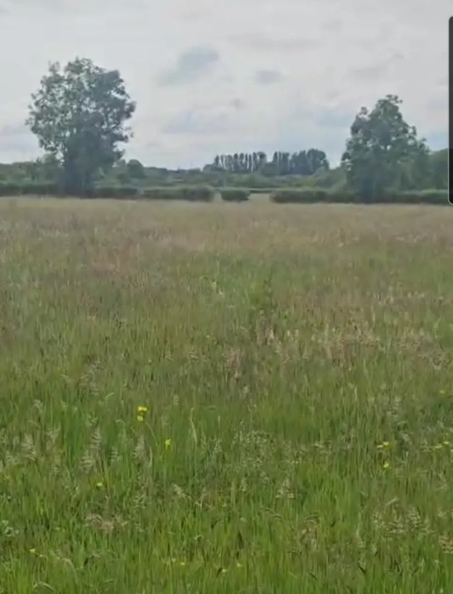 Silage for sale near tipperary town - Image 3