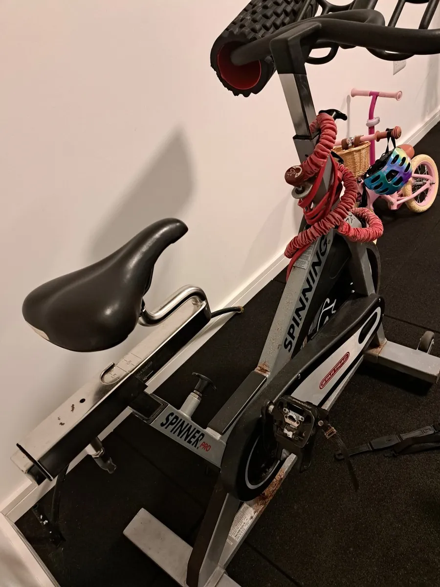 Spin Bike - Image 1