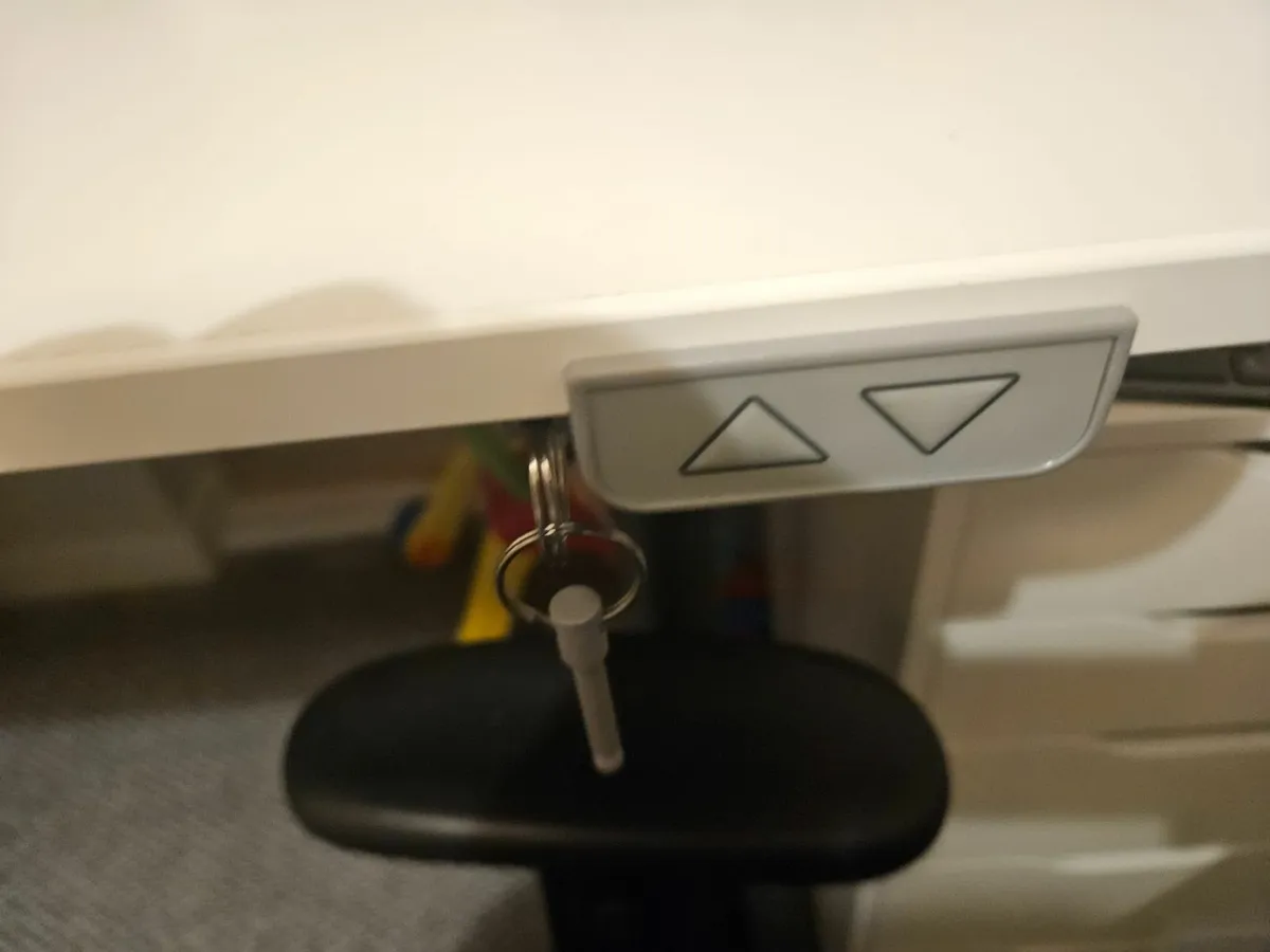 Height-Adjustable Premium Desk 160×80 cm - Image 2