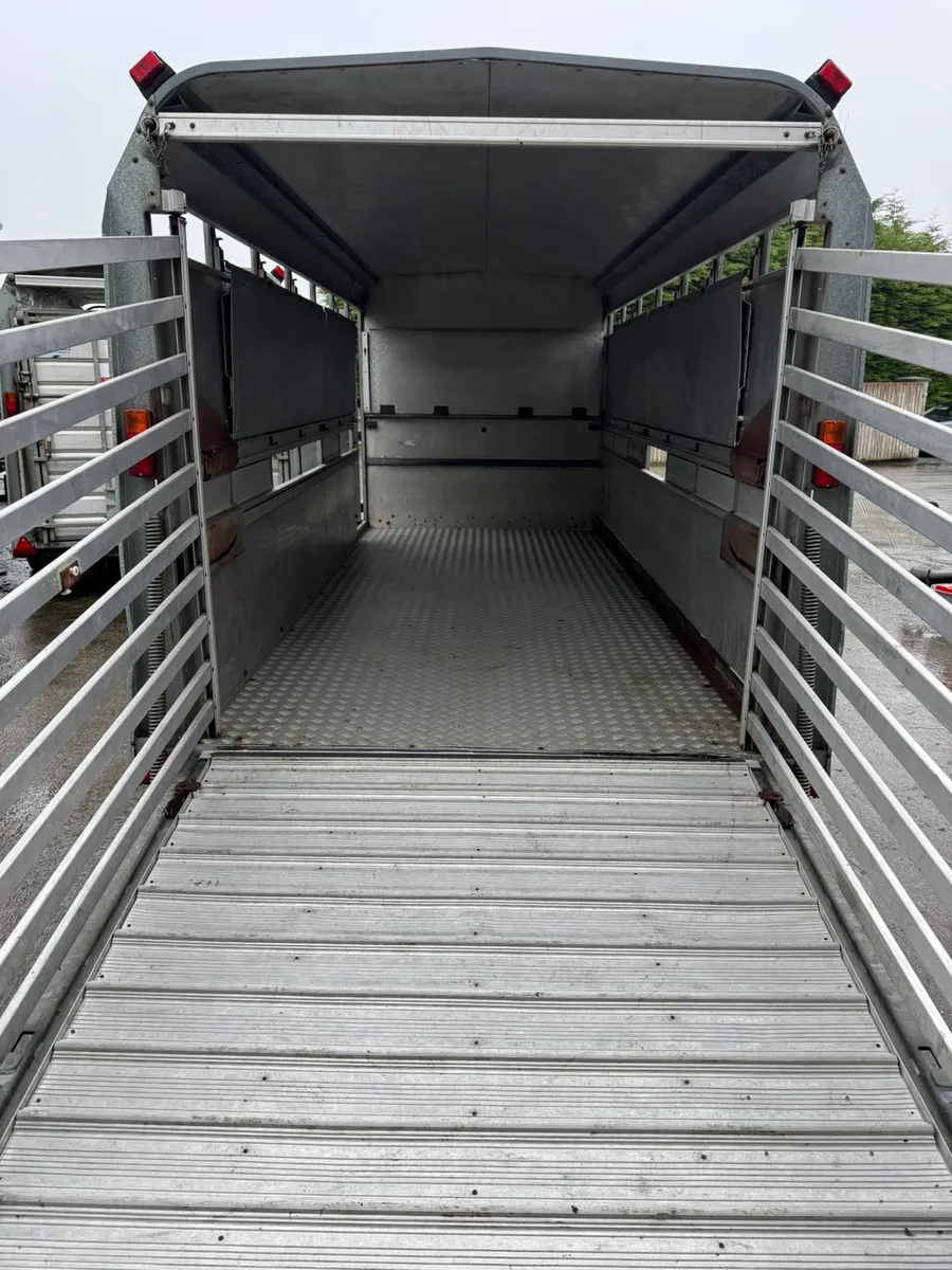 Ifor Williams livestock trailer - Image 3