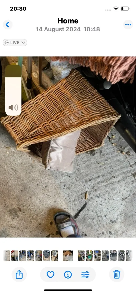 Shed clean out - Image 2