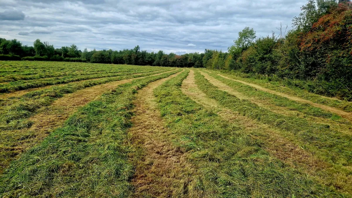 Silage for sale near tipperary town - Image 1