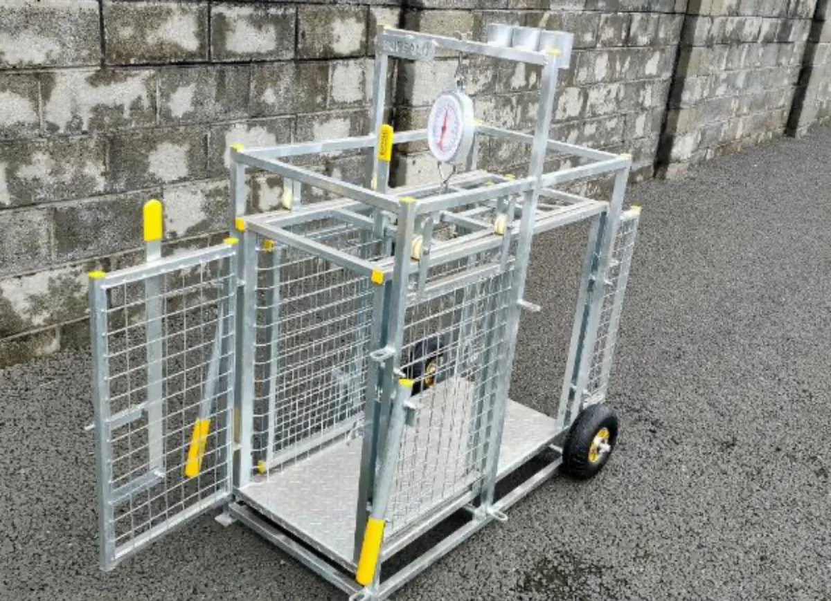 Sheep weighing scale wanted - Image 1