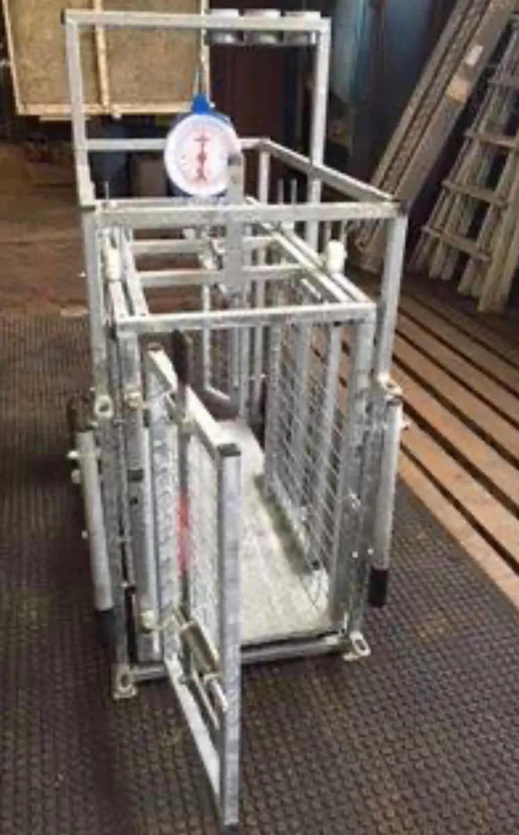 Sheep weighing scale wanted - Image 2