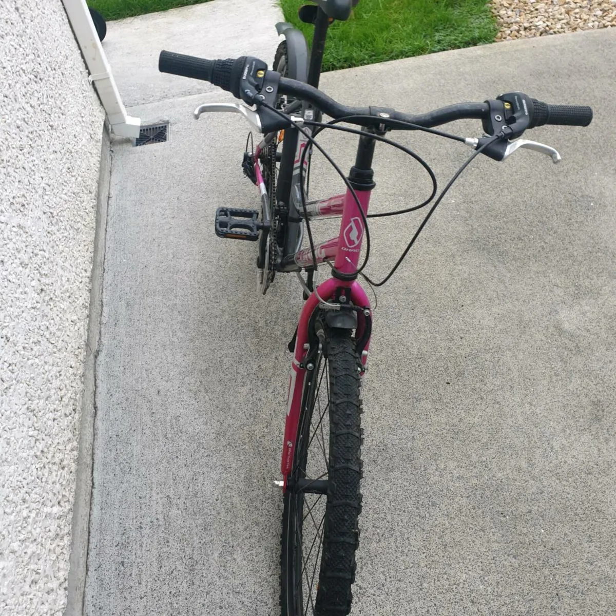 ADULTS BIKE - Image 3