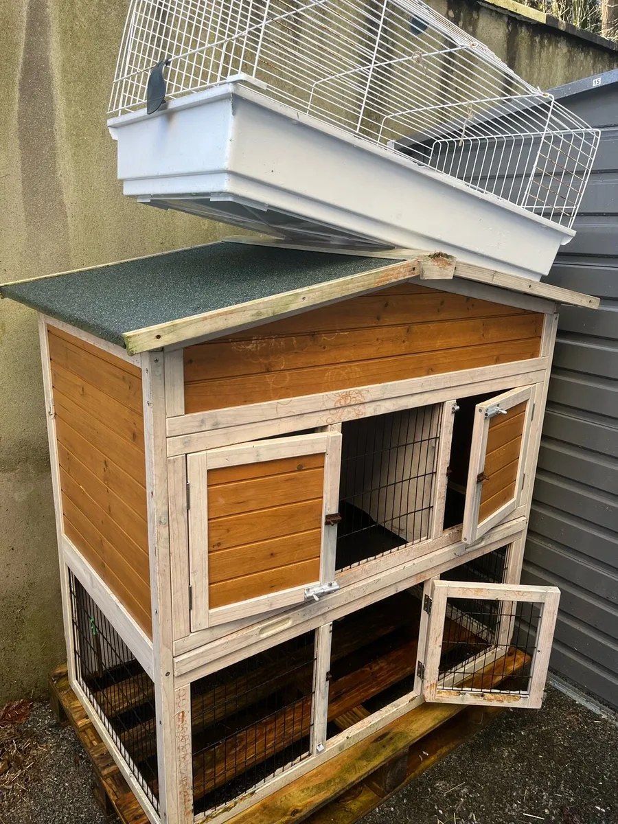 Rabbits cage - Image 1