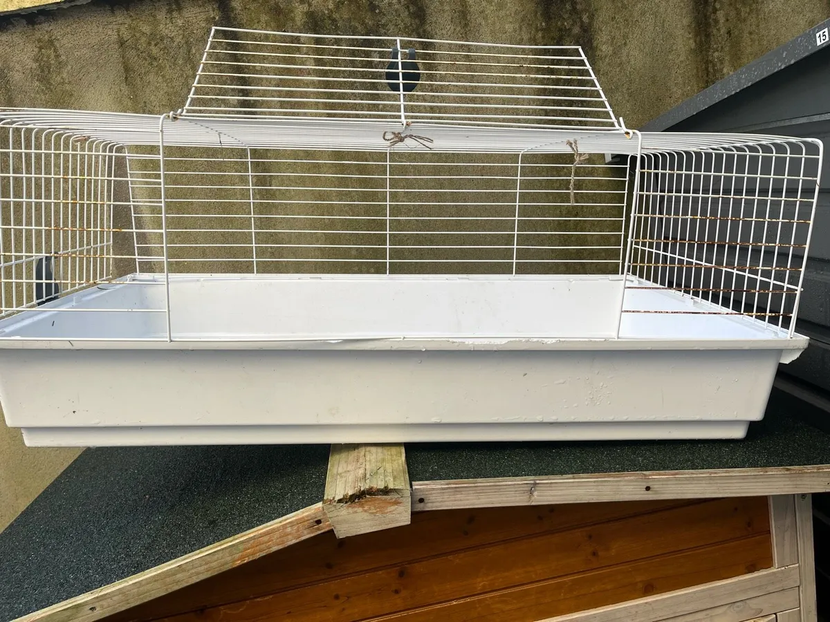 Rabbits cage - Image 3