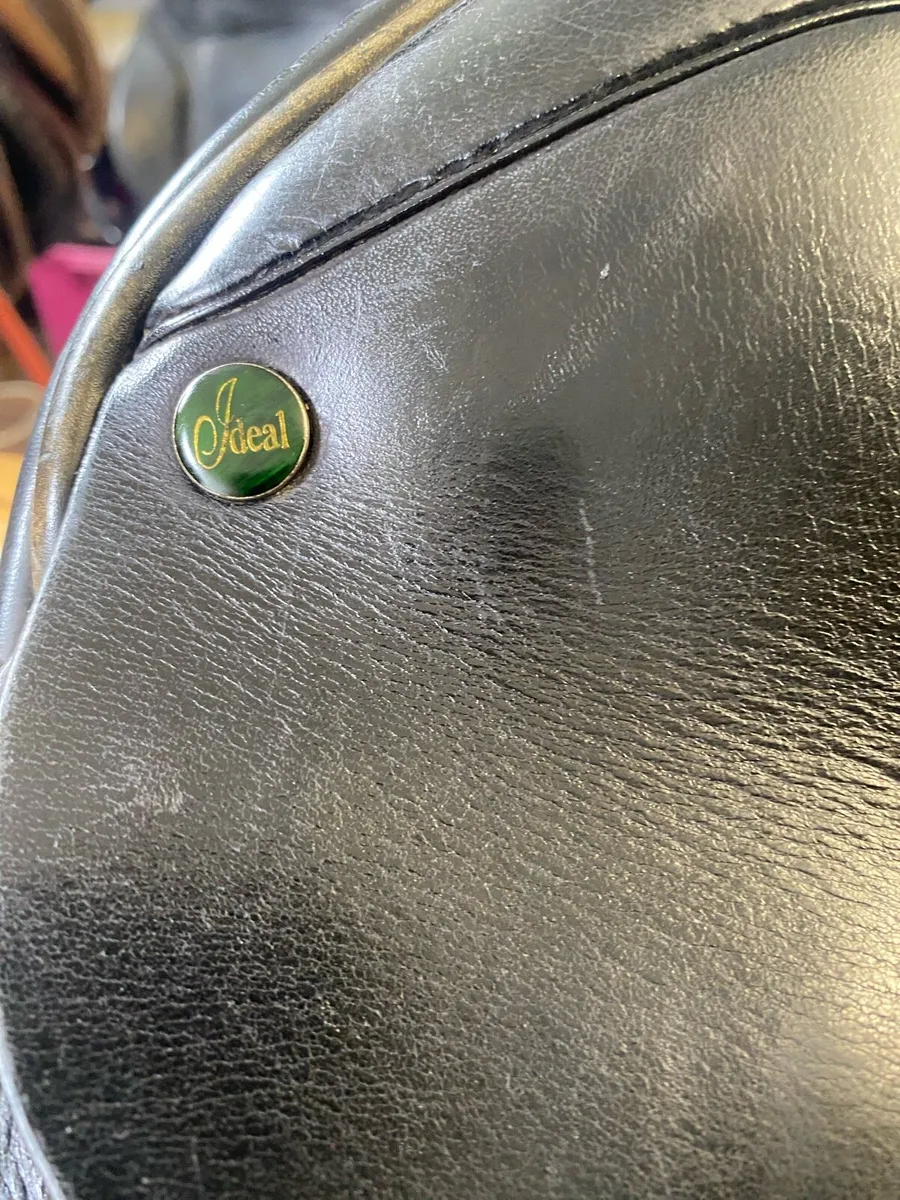 Ideal 16.5 black Leather GP saddle - Image 2