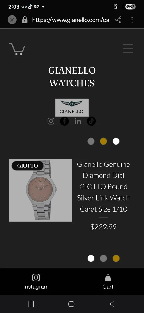Gianello Genuine Diamond Dial GIOTTO Round Silver - Image 2