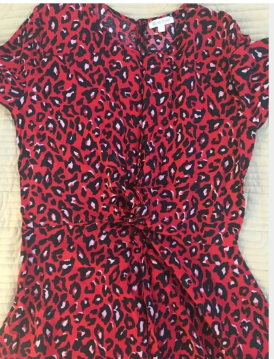 Blue Zoo Dress Age 14 - Image 3