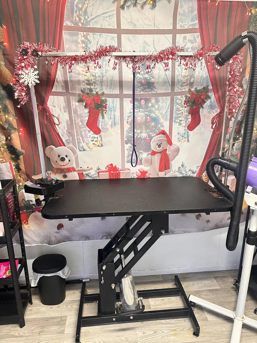 Hydraulic Grooming Table - Image 1