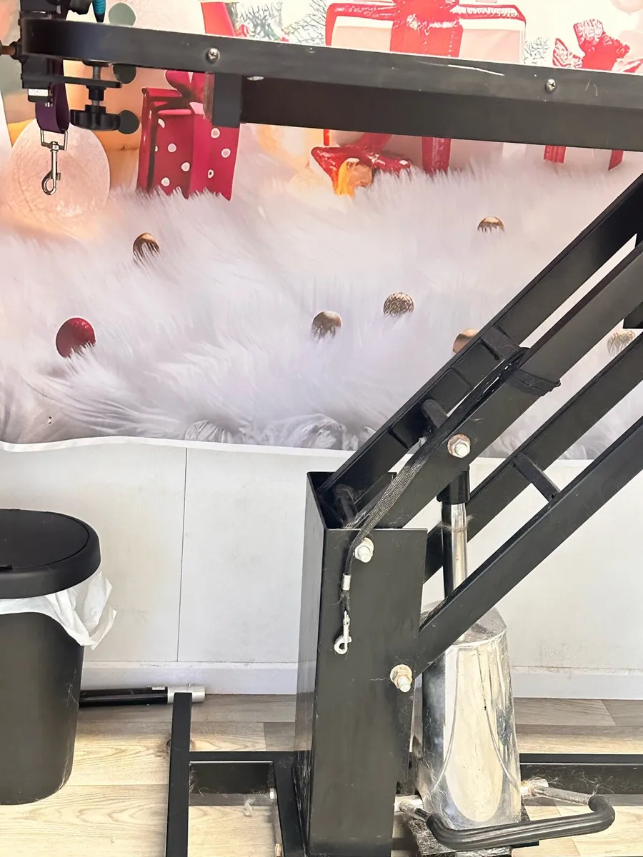 Hydraulic Grooming Table - Image 2
