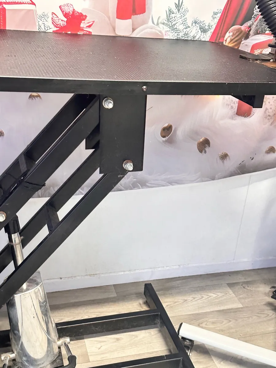 Hydraulic Grooming Table - Image 3