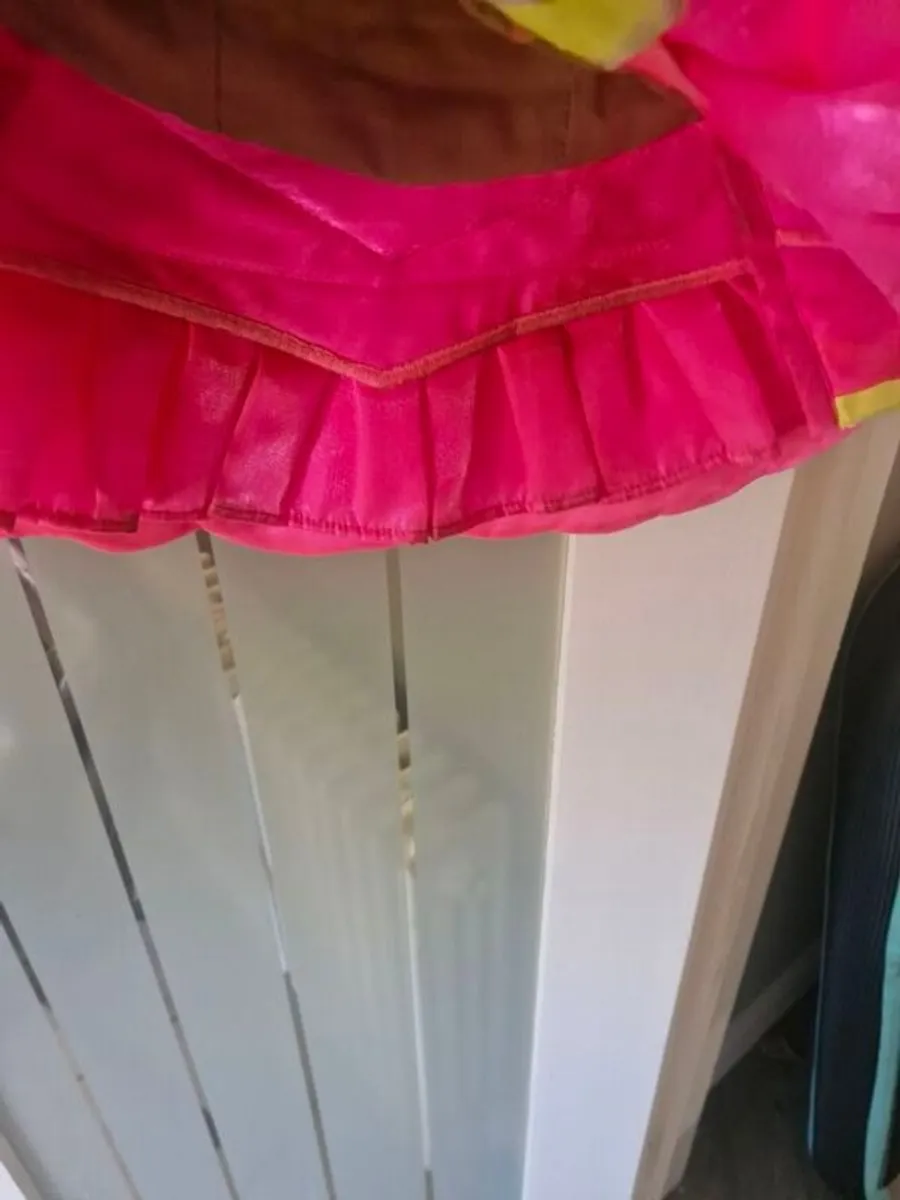 Irish Dancing Dress - Image 3