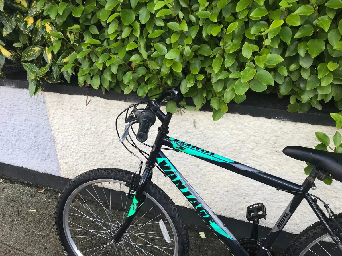 Mountain bike for sale - Image 2