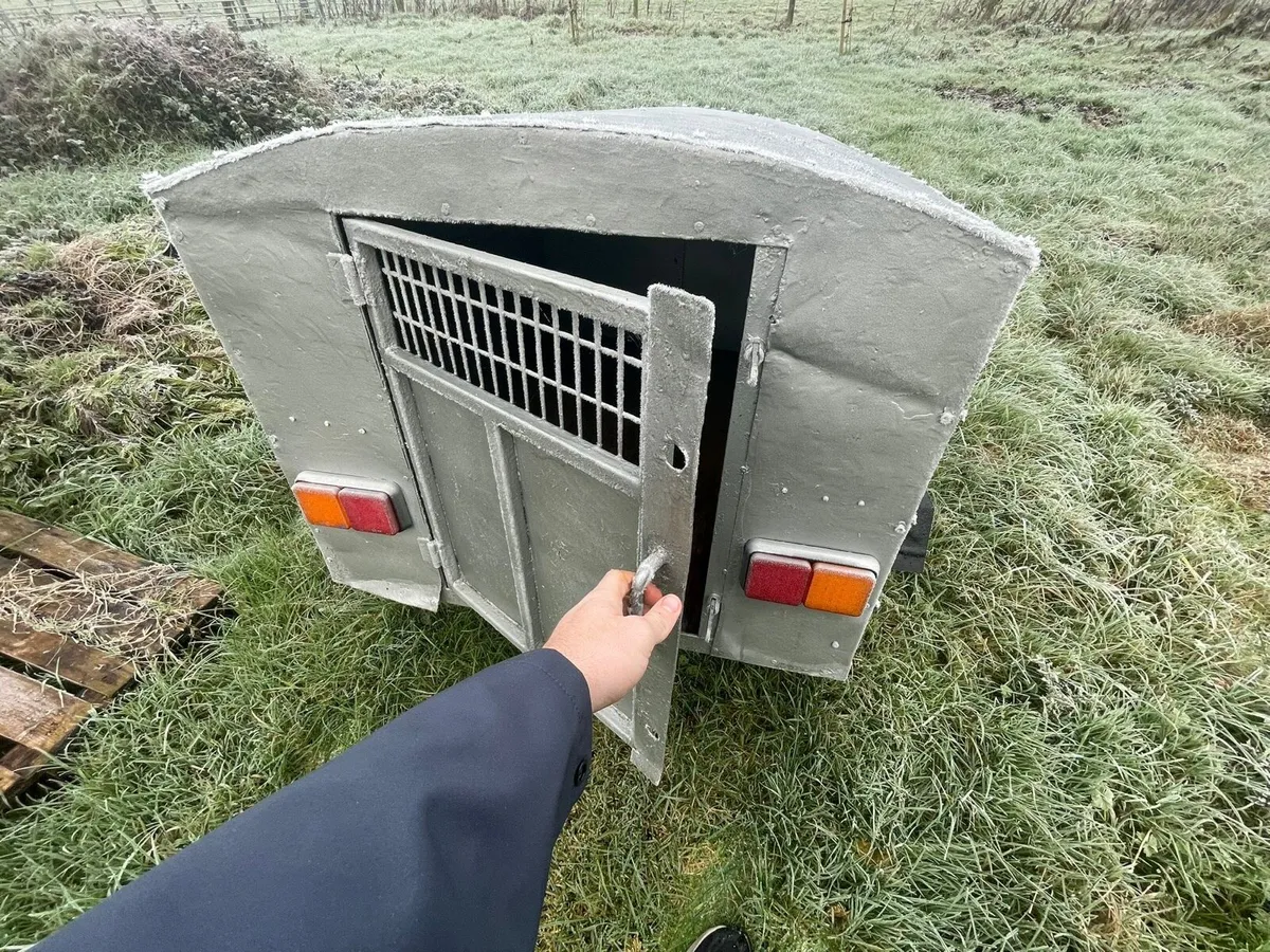 Dog trailer - Image 2