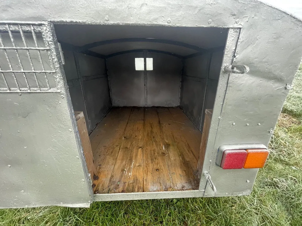 Dog trailer - Image 4