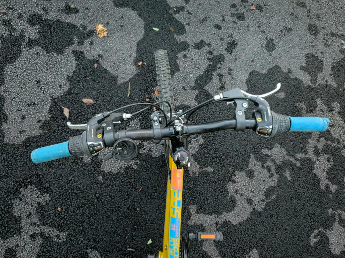 Kids Bicycle - Image 3