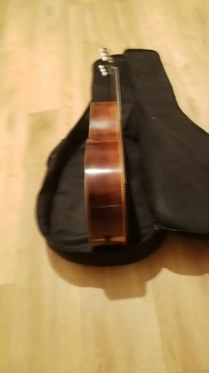 Parlor 1800s Brazilian Rosewood Guitar - Image 4