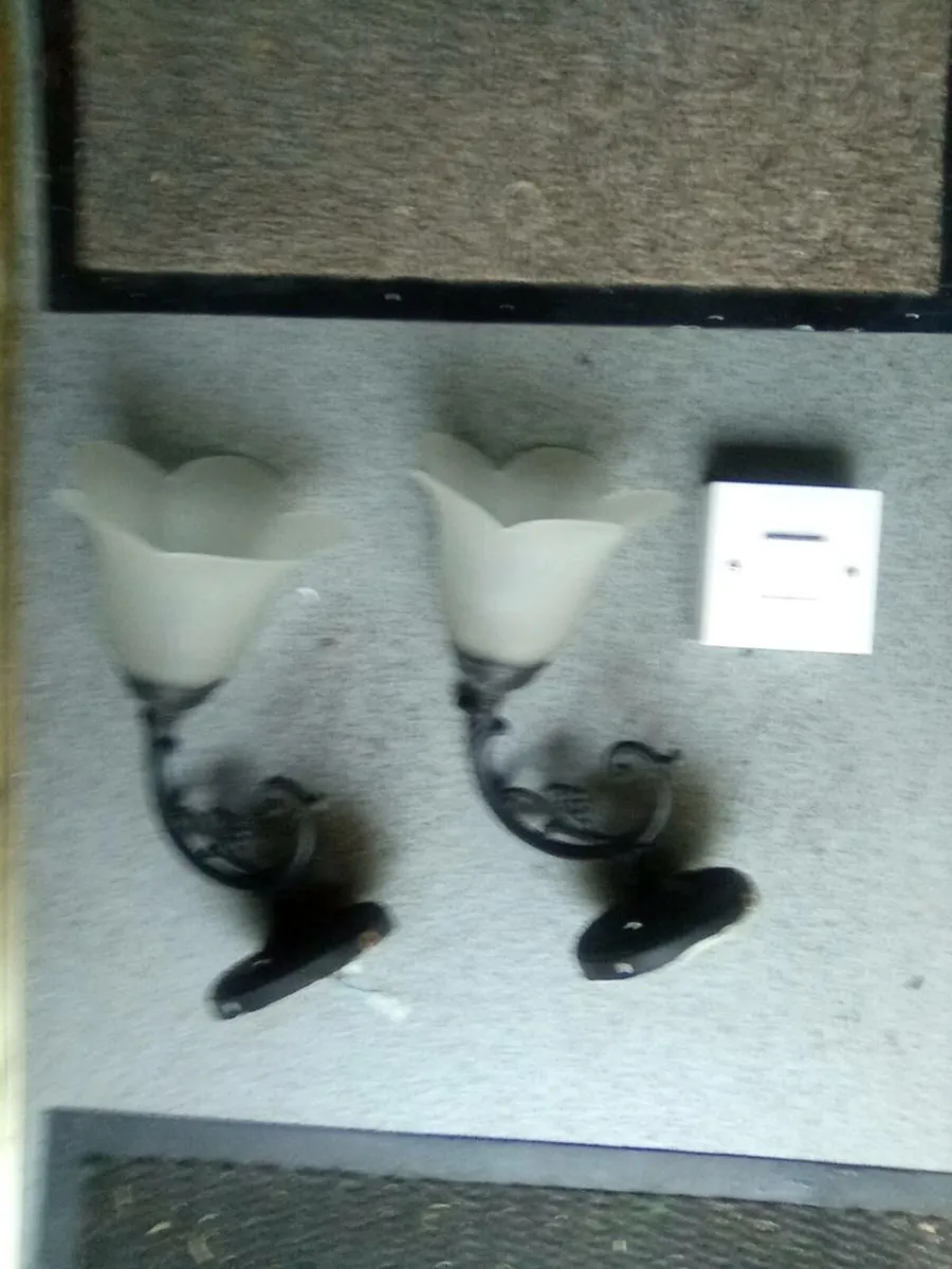 2.  WALL. LIGHTS .AND.  2 GANG. SWITCH - Image 1