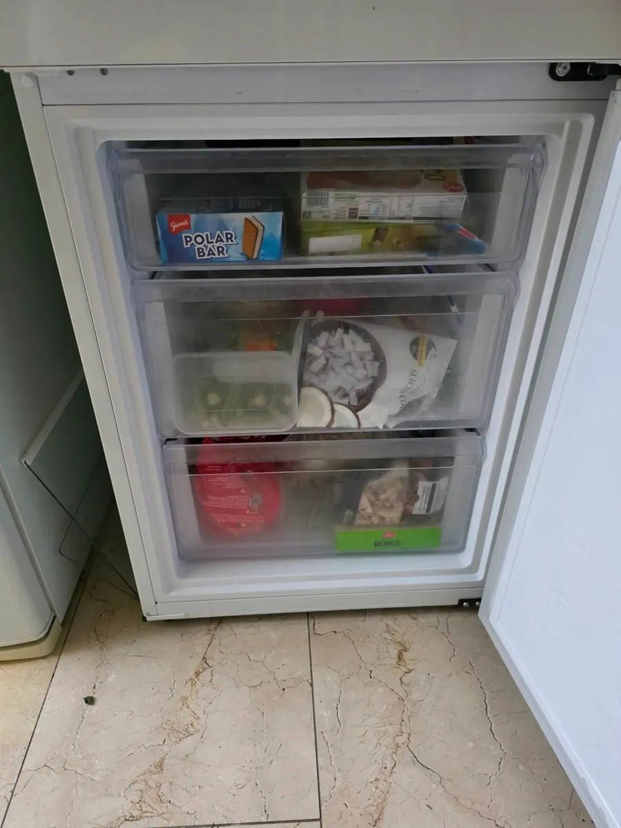 2024 October Samsung Tall Fridge with Freezer - Image 2