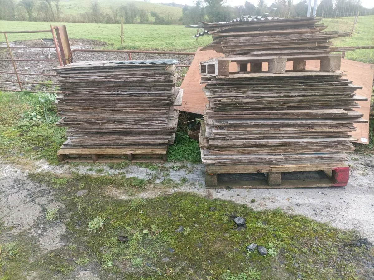 Used plywood sheets - Image 1