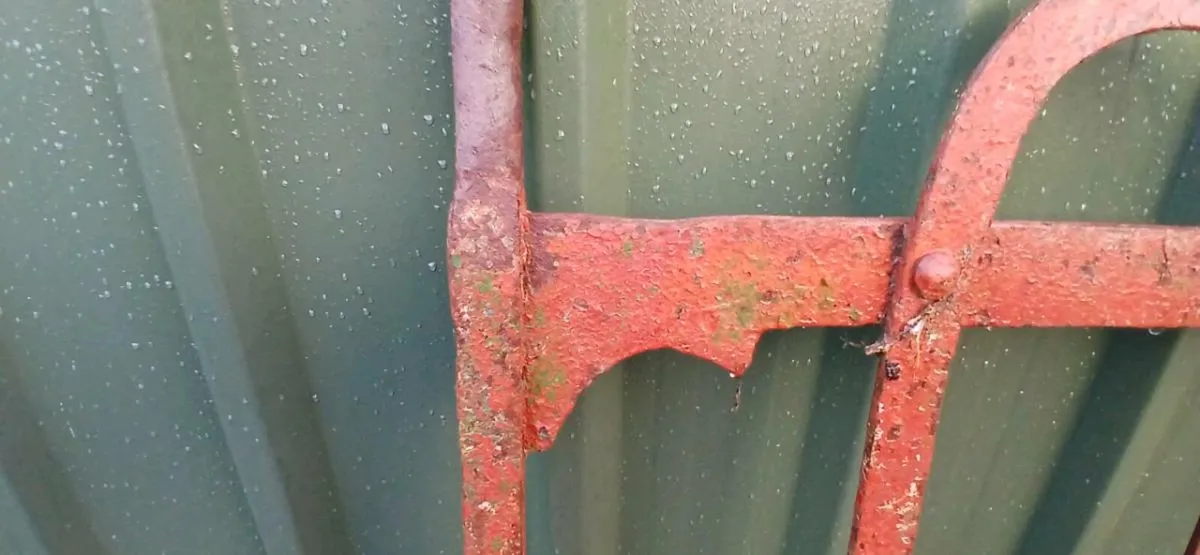 Old wrought iron gates - Image 4