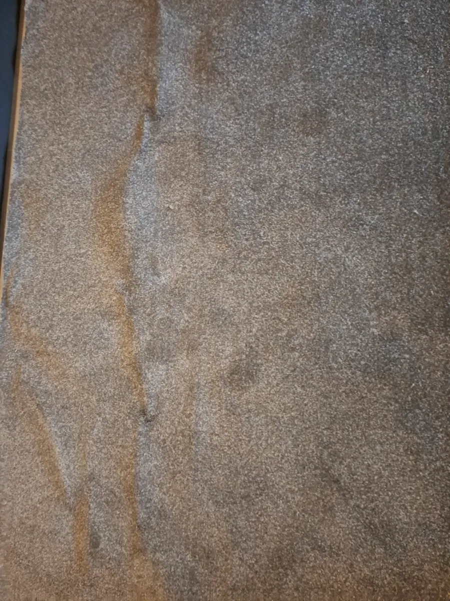 Carpet - Image 2