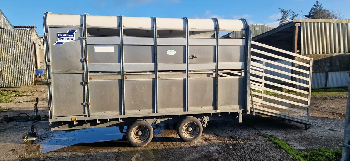 Ifor Williams Livestock Trailer - Image 3