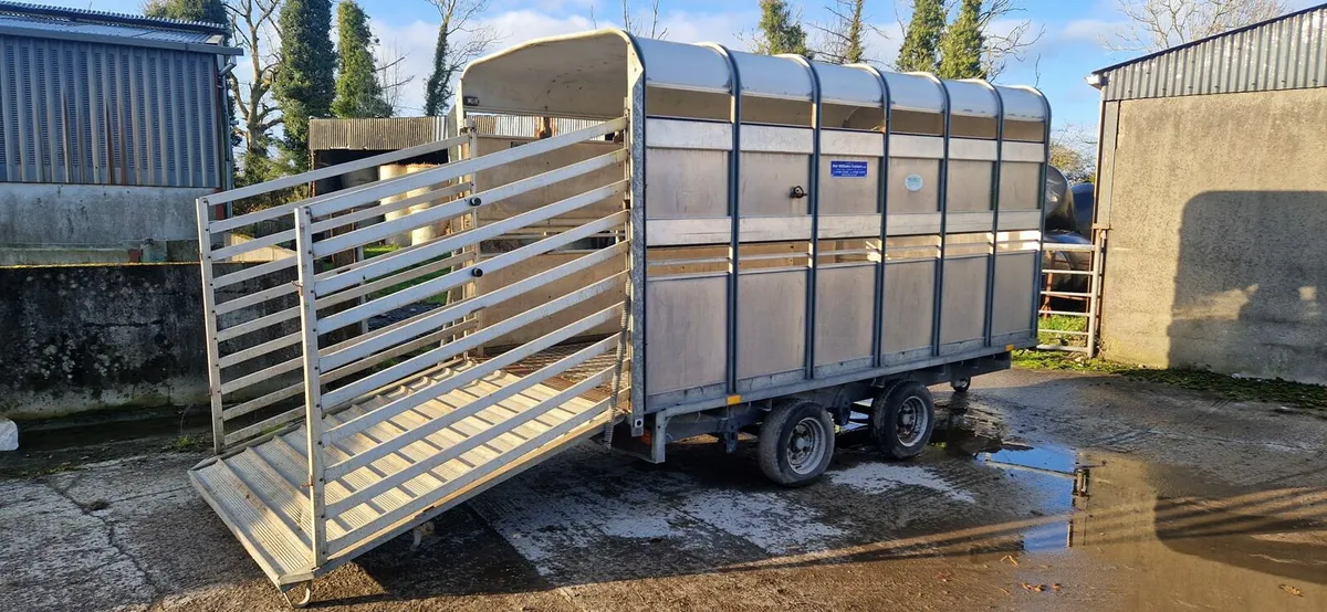 Ifor Williams Livestock Trailer - Image 4