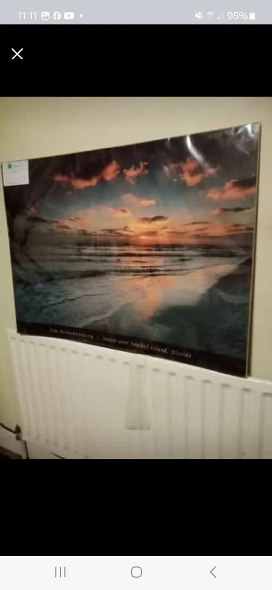 Sunset over florida - Image 1