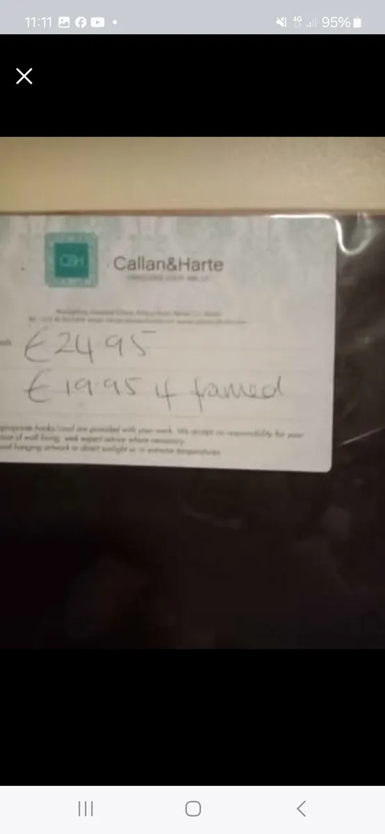 Sunset over florida - Image 2