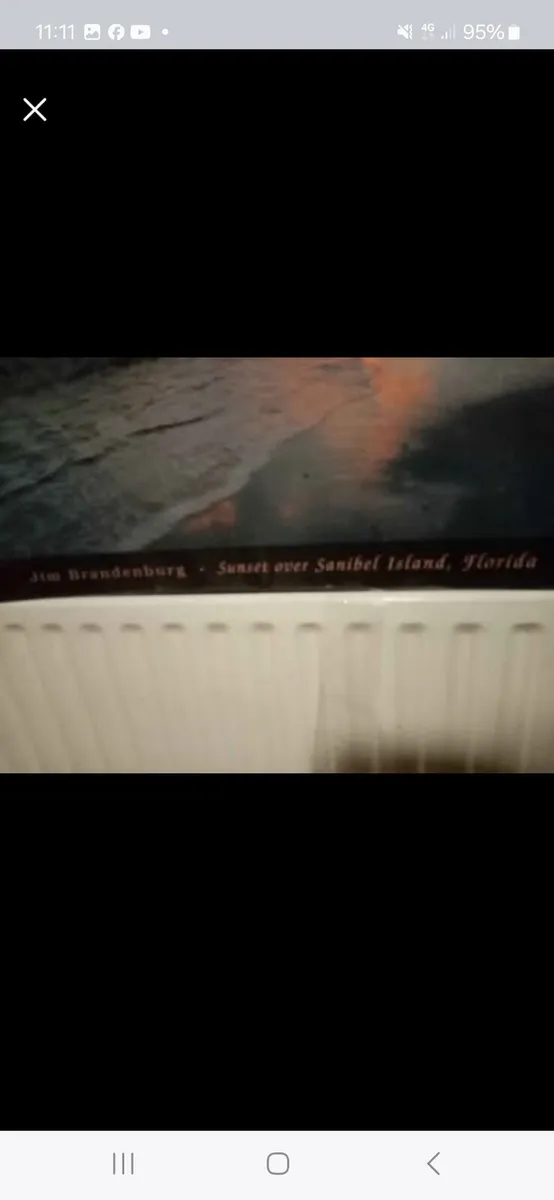 Sunset over florida - Image 3