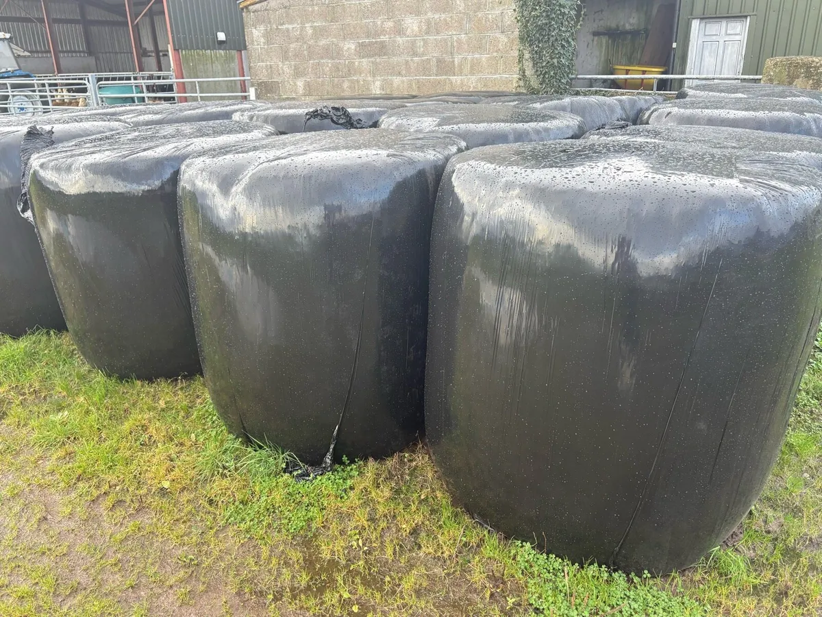 Silage bales