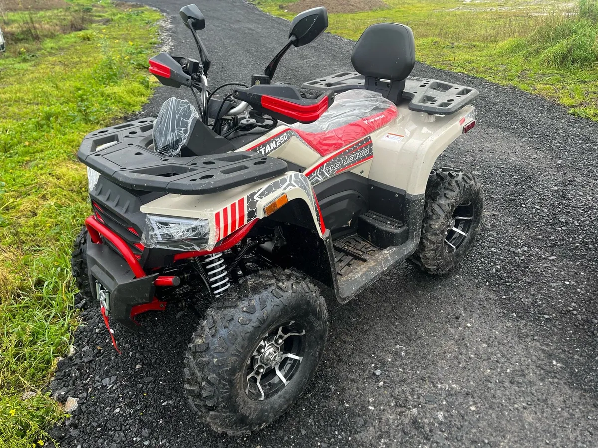 2025 250cc Farm Quad - Image 4