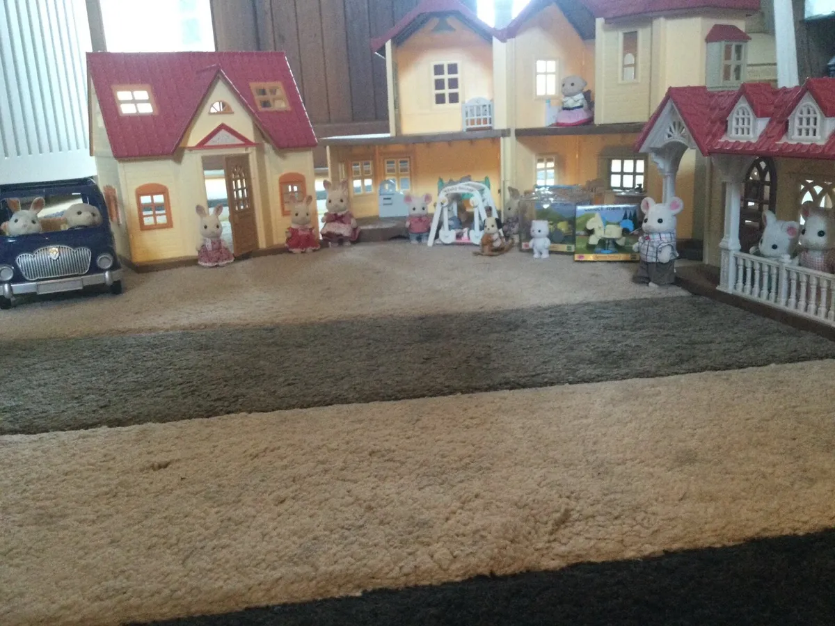 Sylvanian family collection - Image 3